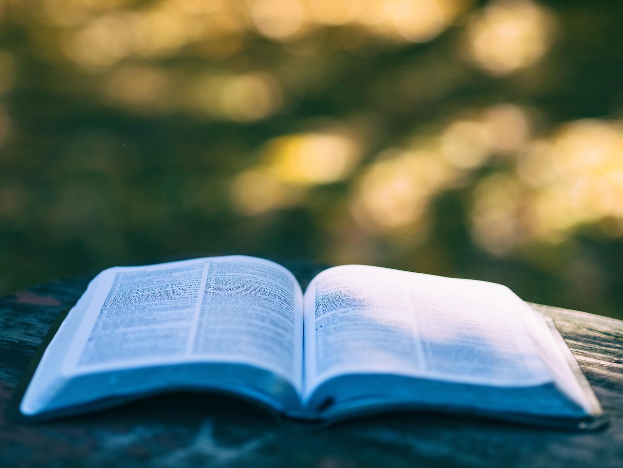 entdecken sie die besten must-read-bücher aller zeiten! unsere sorgfältig ausgewählte liste bietet inspirierende romane, klassiker und moderne meisterwerke für alle bücherliebhaber.