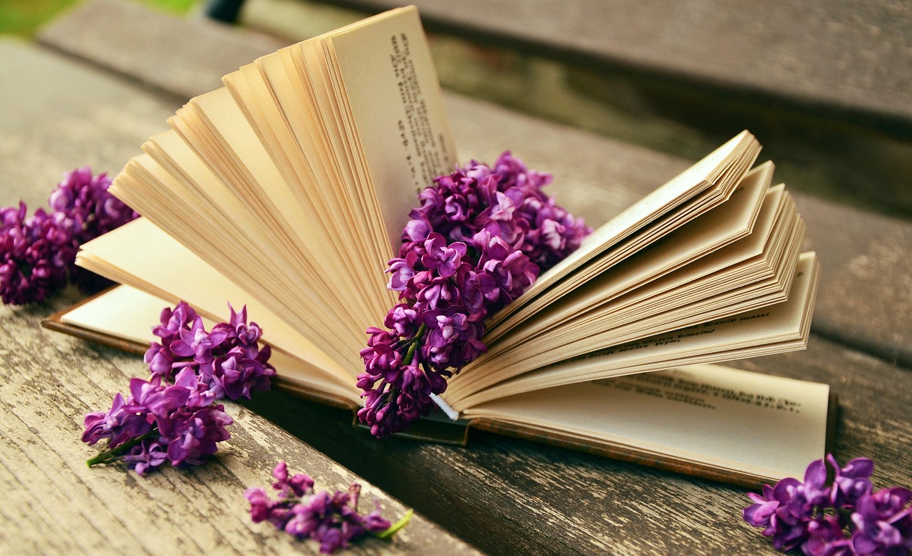 entdecken sie die ultimative liste der must-read-bücher – von klassikern bis zu modernen bestsellern. lassen sie sich inspirieren und erweitern sie ihren literarischen horizont!